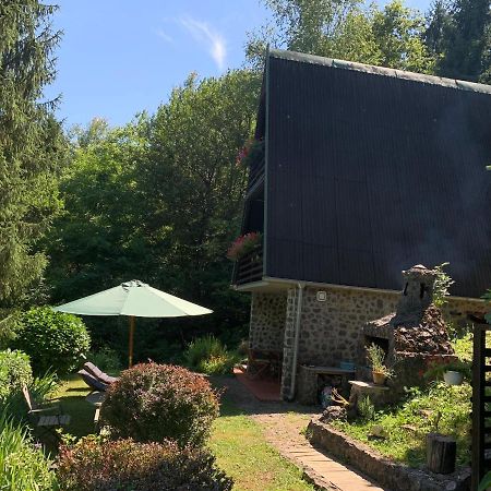 Holiday Home Dragonfly River House On Korana Near Plitvice And Mreznica Barilovic المظهر الخارجي الصورة