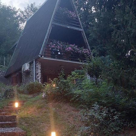 فيلا Kuca Za Odmor Dragonfly River House On Korana Near Plitvice And Mreznica Barilovic المظهر الخارجي الصورة