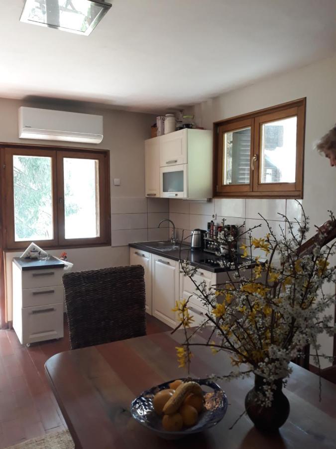 Holiday Home Dragonfly River House On Korana Near Plitvice And Mreznica Barilovic المظهر الخارجي الصورة