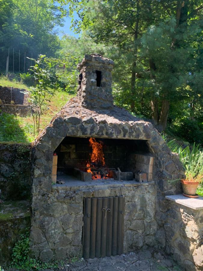 فيلا Kuca Za Odmor Dragonfly River House On Korana Near Plitvice And Mreznica Barilovic المظهر الخارجي الصورة